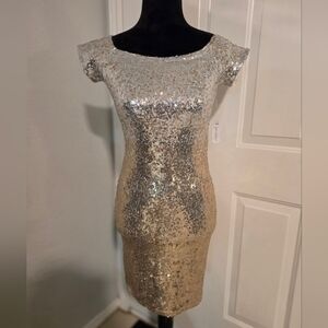 Elegant Silver and Gold Sequin Dress